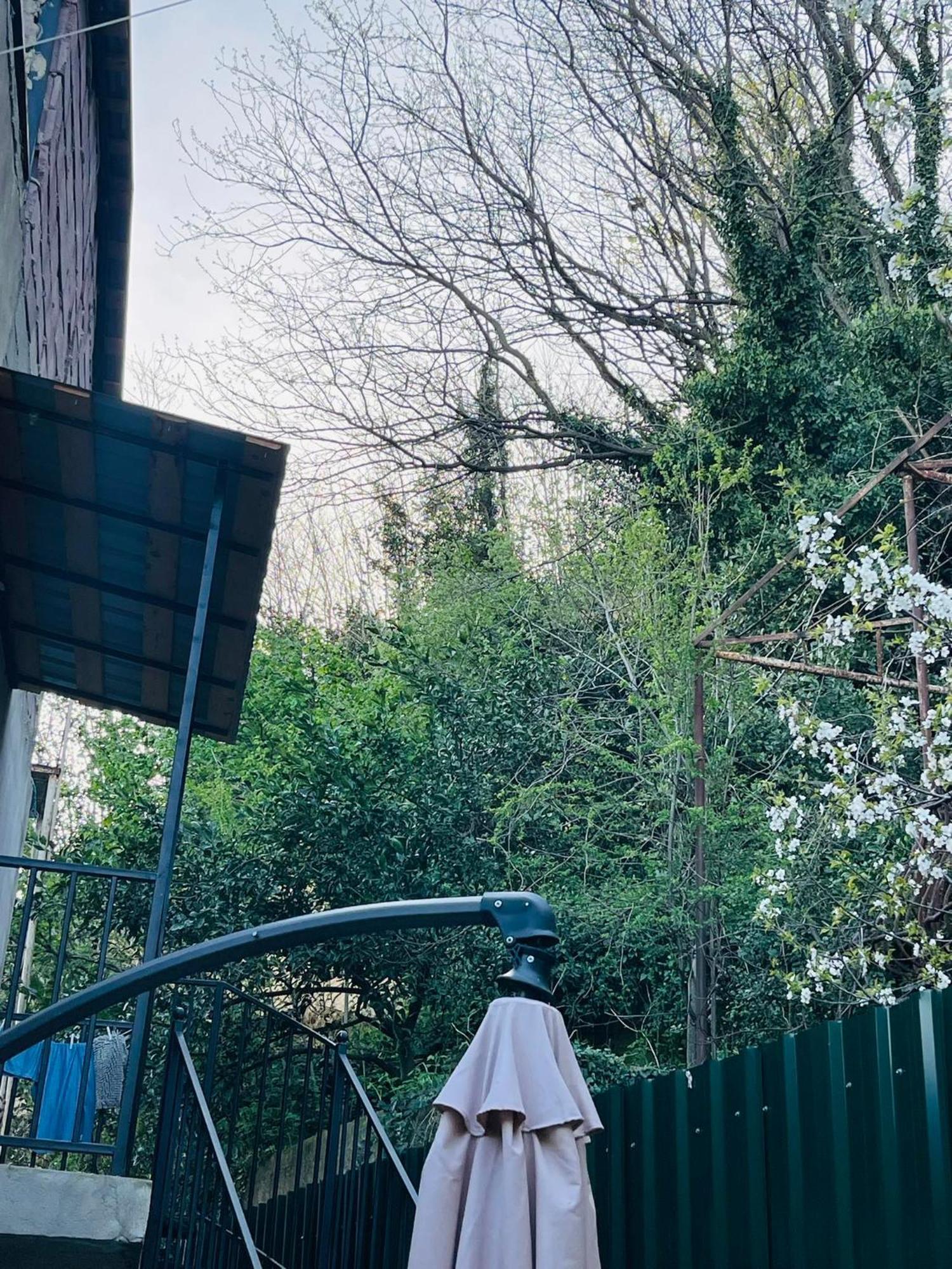 Maria House _2 * 库塔伊西